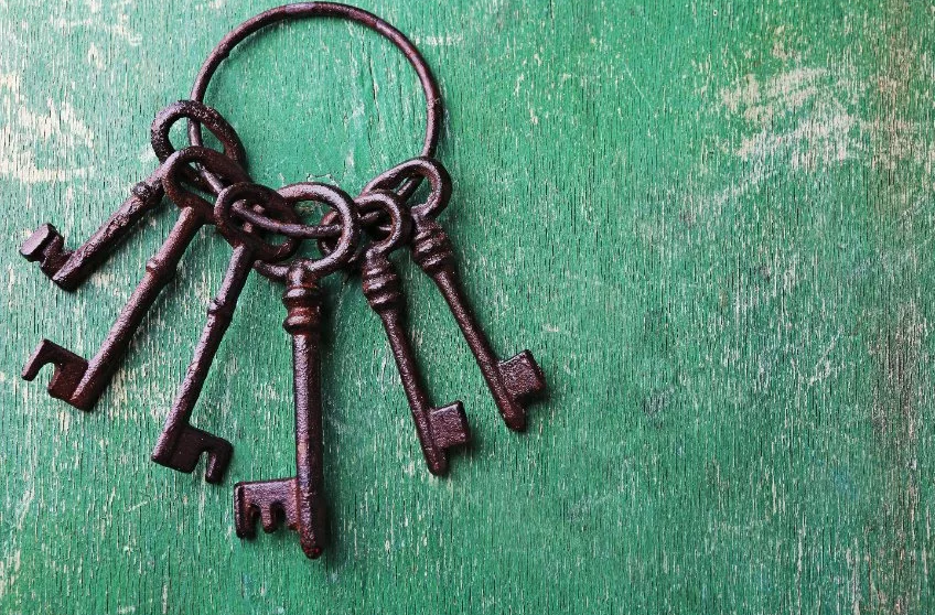 Sleuteldisciplines maken een belangrijk onderdeel uit van MER & impactstudies