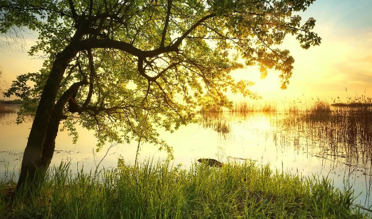 Impact op natuur