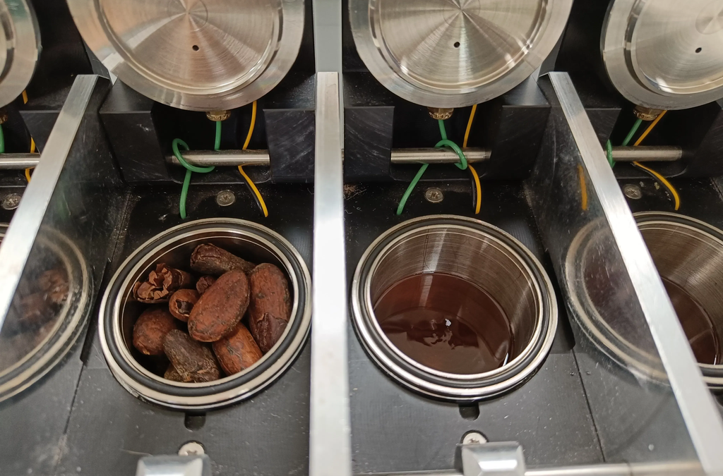 Headspace cocoa beans and cocoa liquor for analysis of organic acids