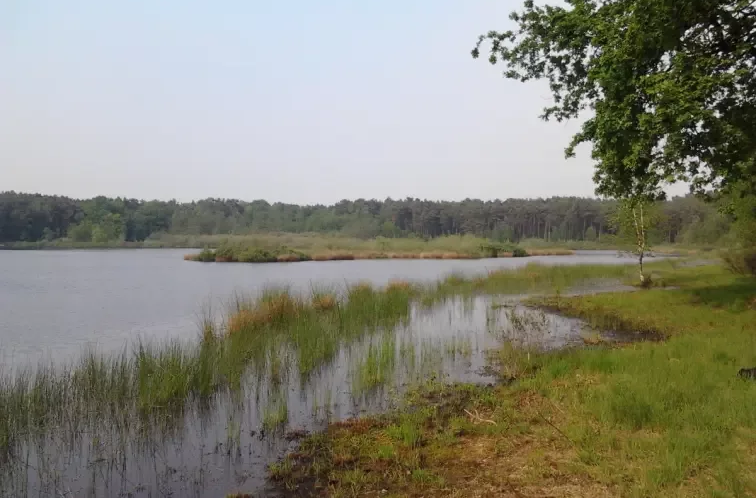 Natuurbeheer bestaat uit beheer van verschillende aspecten o.a. water