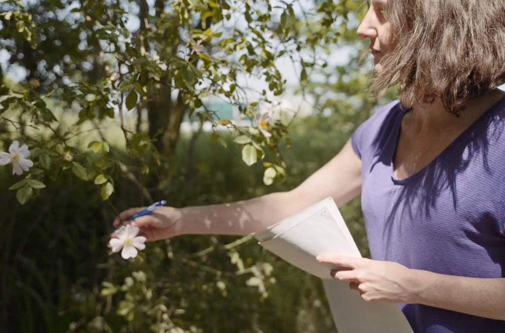Uitvoeren inventarisatie voor biodiversiteit 4