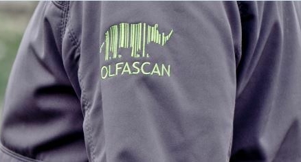 Logo OLFASCAN